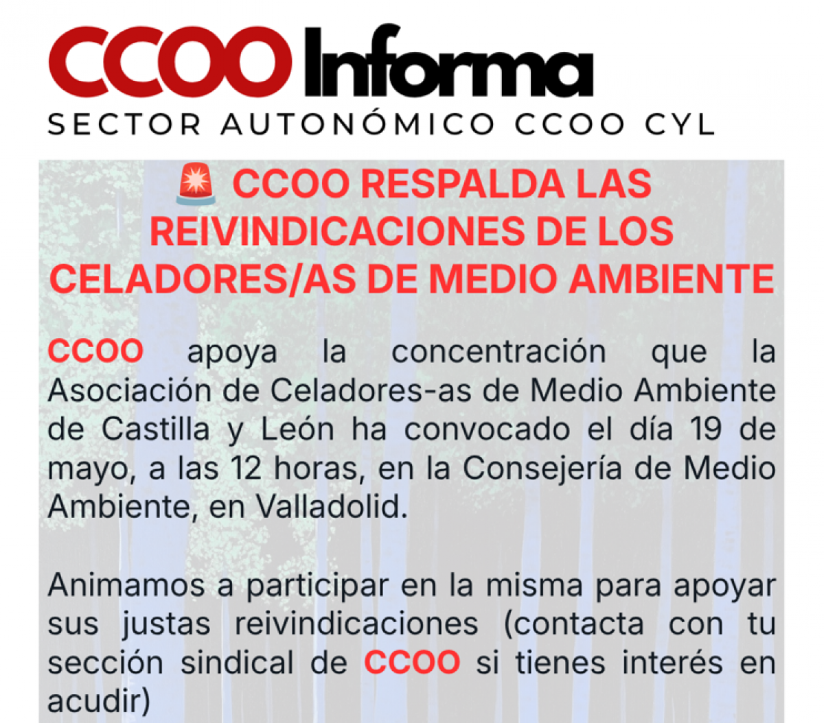 CCOO Informa