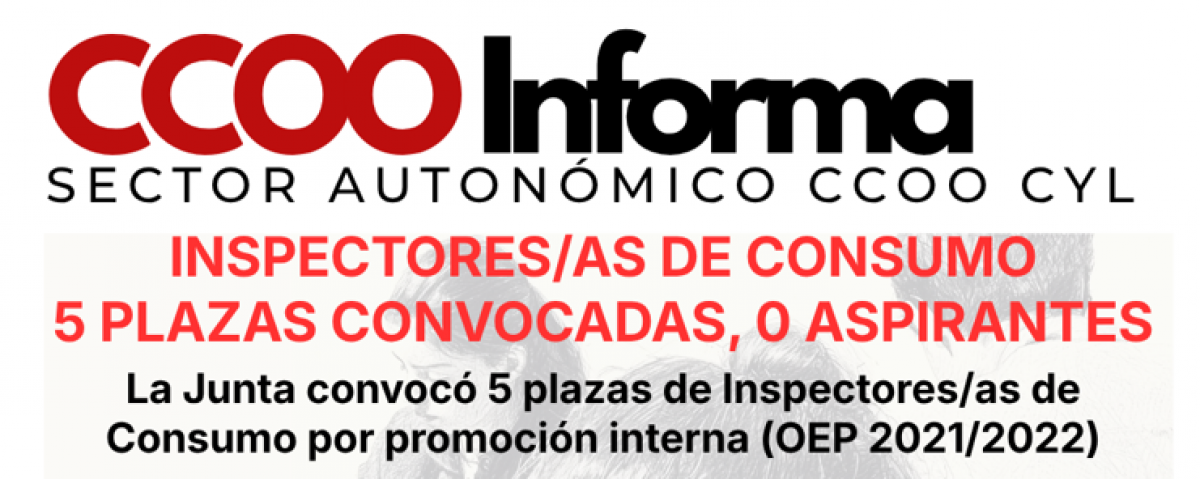 CCOO Informa