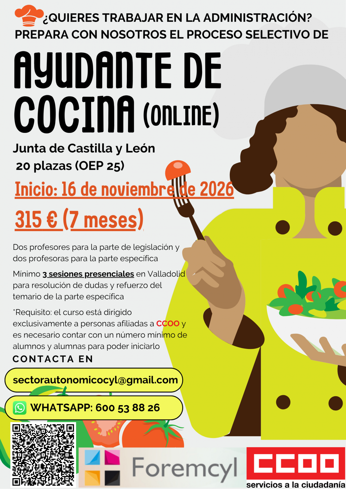 Cartel Ayudante de Cocina