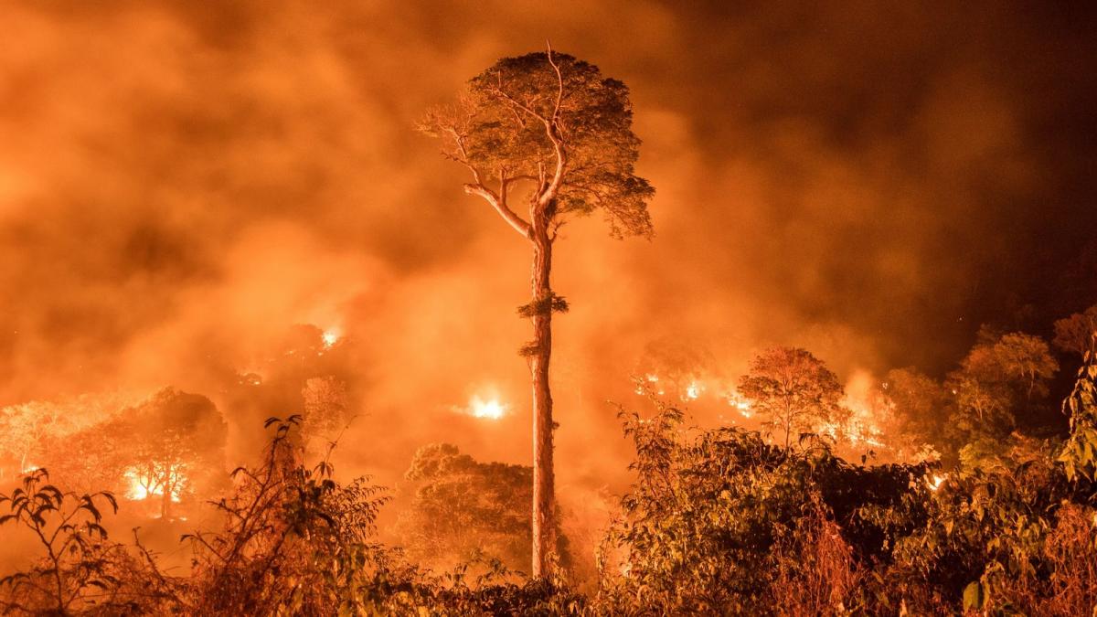 INCENDIO