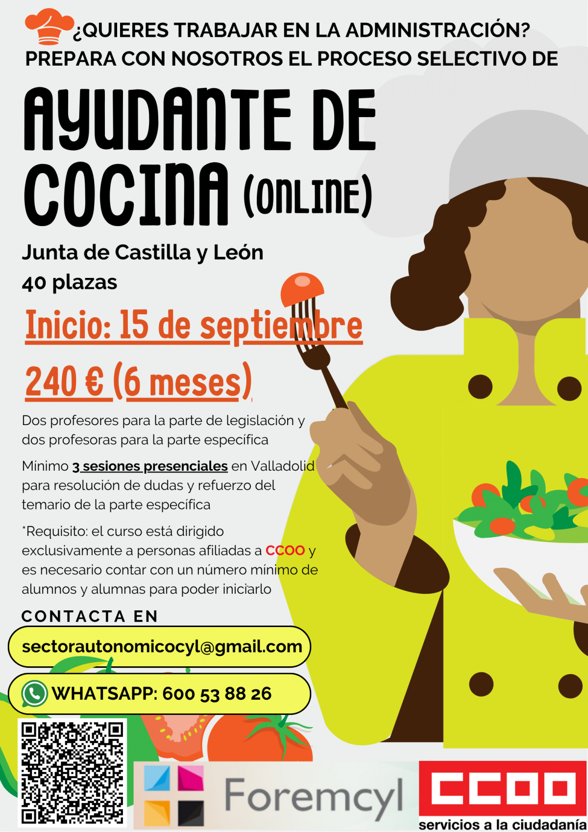 Cartel CCOO Ayudante de Cocina
