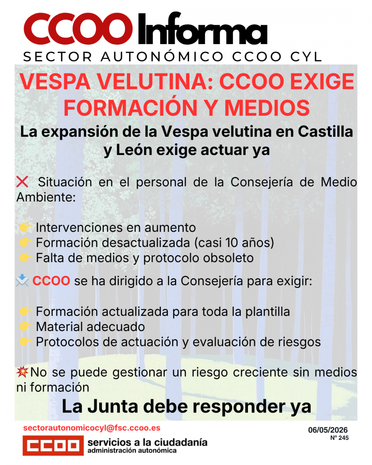 CCOO Informa